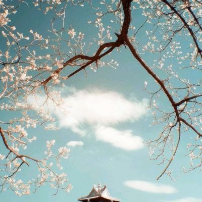 因抢玩具殴打2岁女童女子被拘留